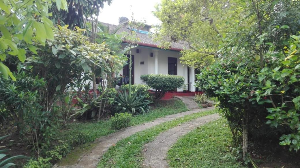 Photo of Buildings in Hikkaduwa
