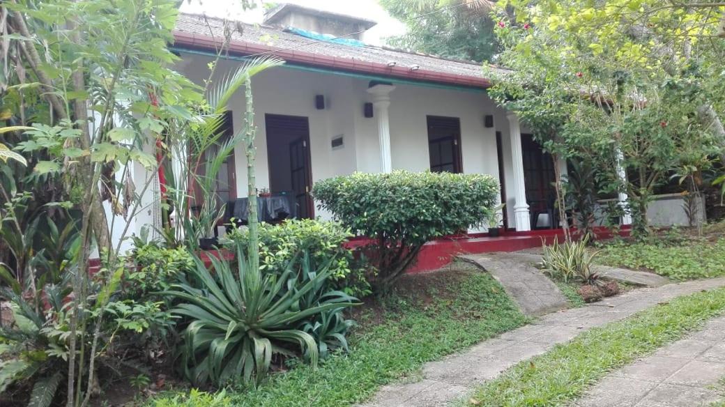 Photo of Buildings in Hikkaduwa
