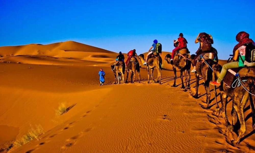 Photo of Others in Taouz