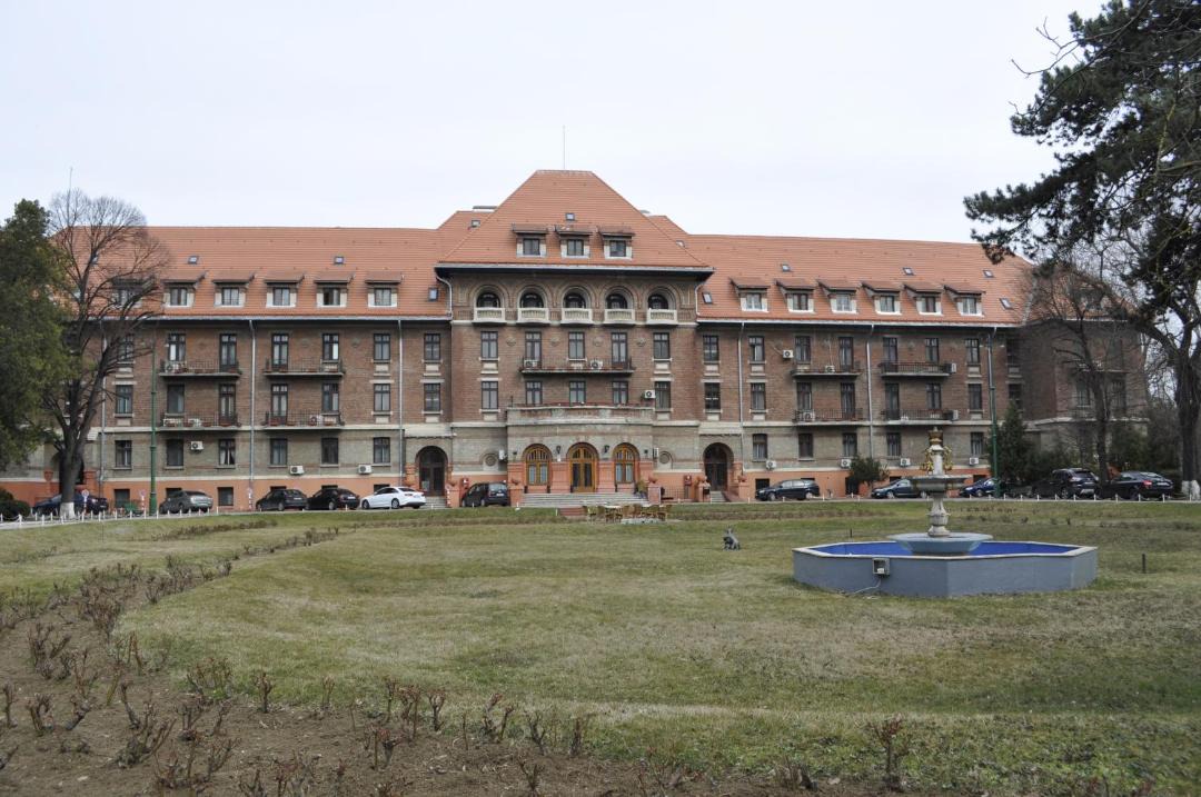 Photo of Others in Kiseleff
