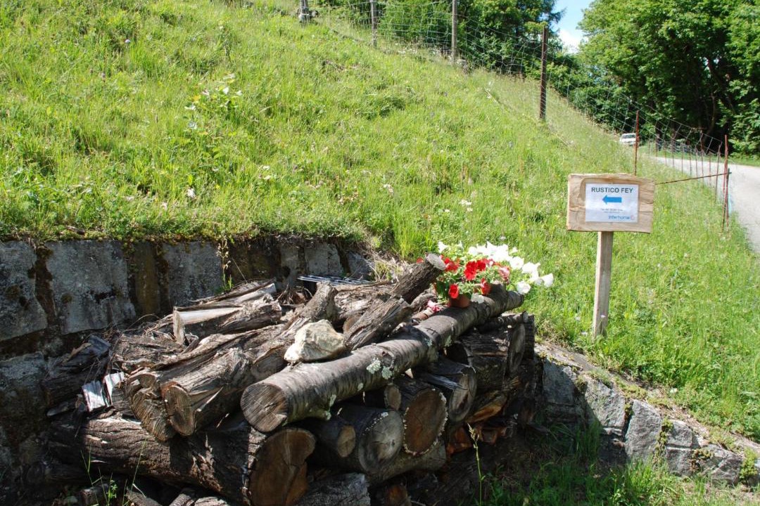 Photo of Others in Semione