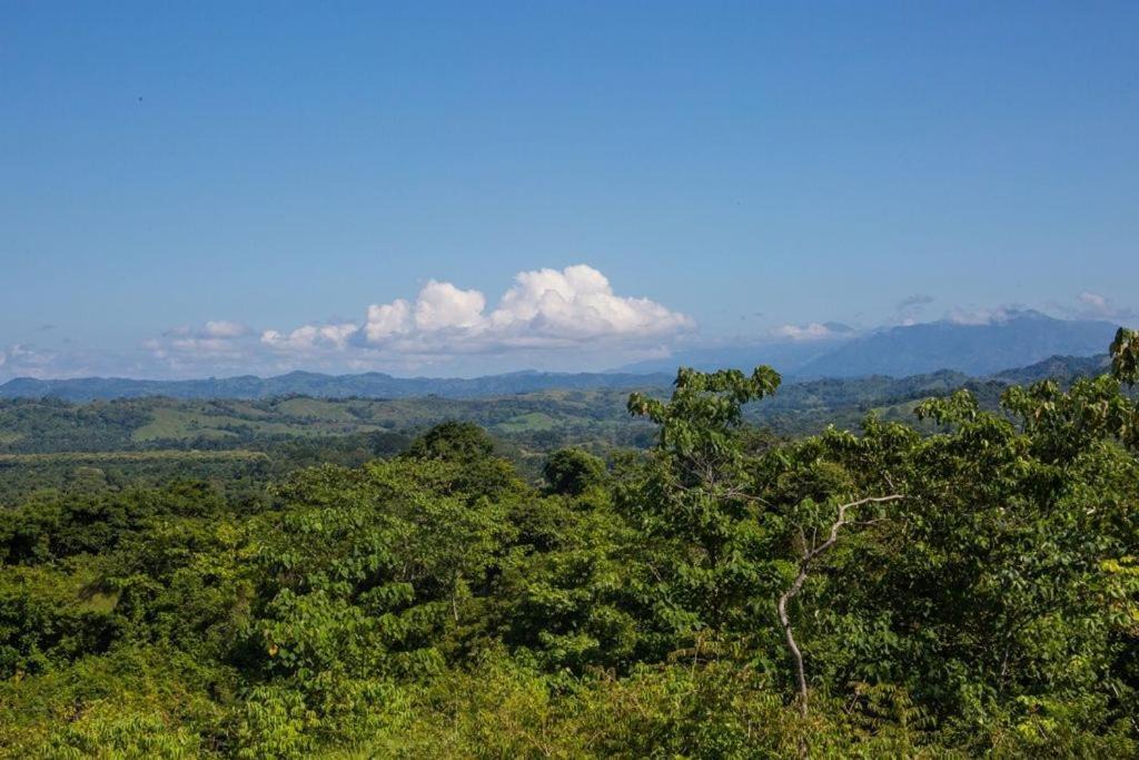 Photo of Others in Parrita