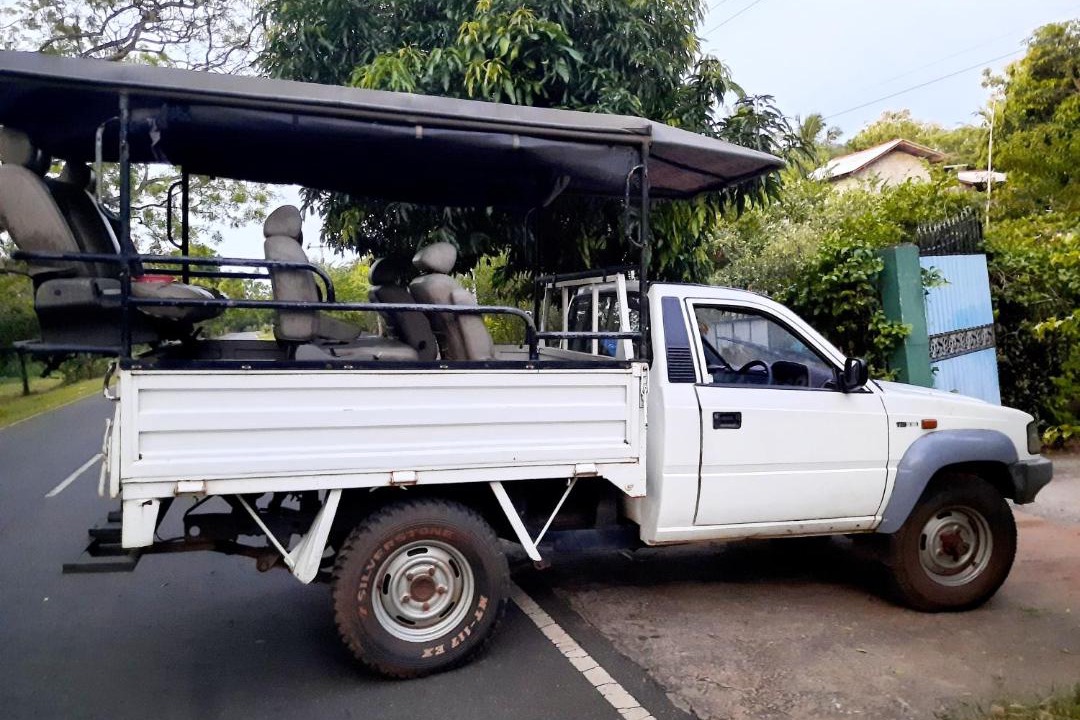 Photo of Others in Udawalawa