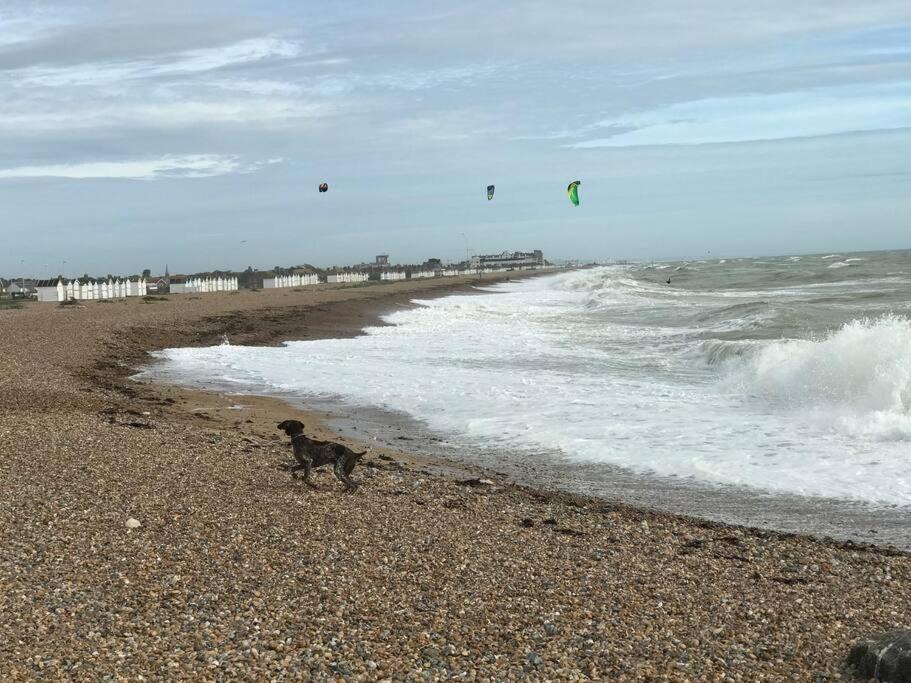 Photo of Others in Goring-by-Sea
