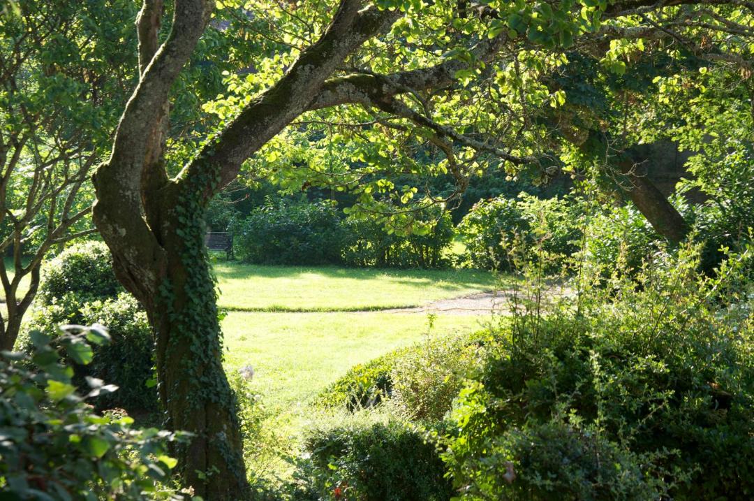 Photo of Outdoor in Saint-Georges-sur-Cher
