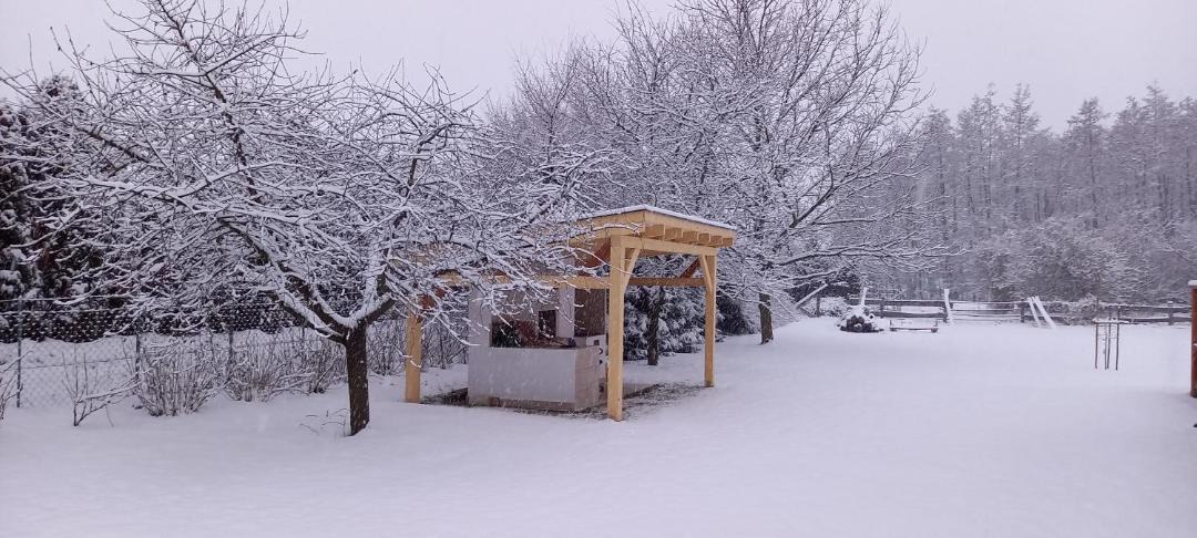 Photo of Others in Tapolca