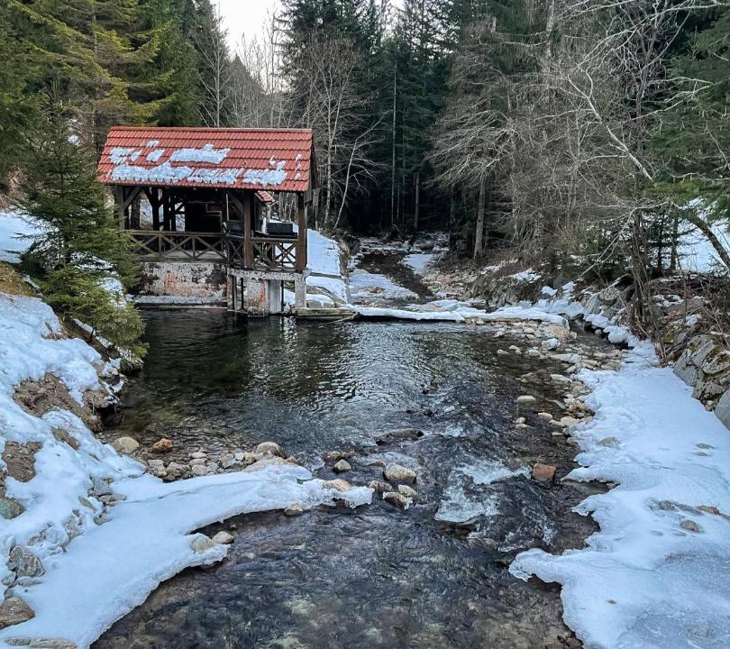 Photo of Others in Pohorje