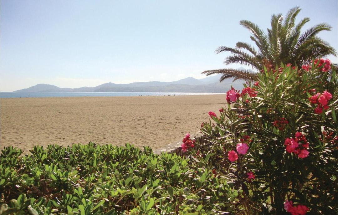Photo of Others in Plage d'Argeles