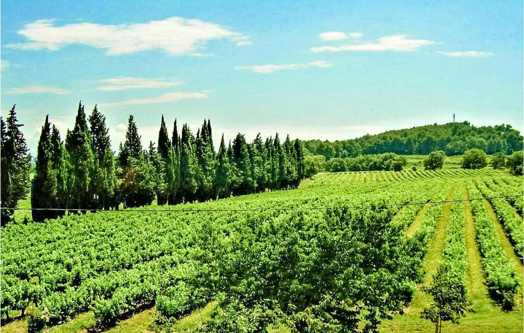 Photo of Outdoor in Saint-Paulet-de-Caisson