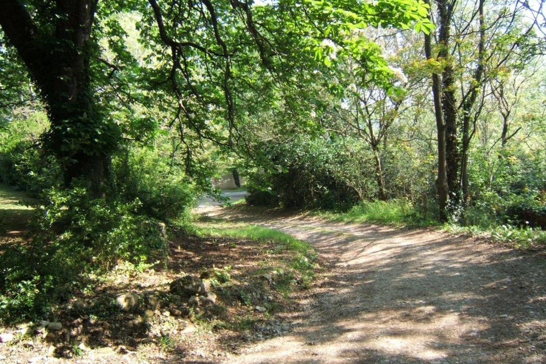 Photo of Others in Labruguiere