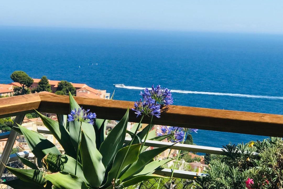 Photo of Others in Cap d'Ail