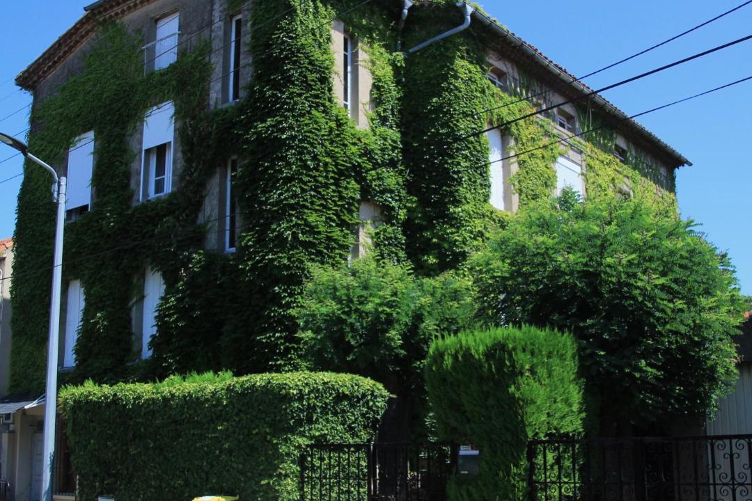 Photo of Buildings in Carcassonne