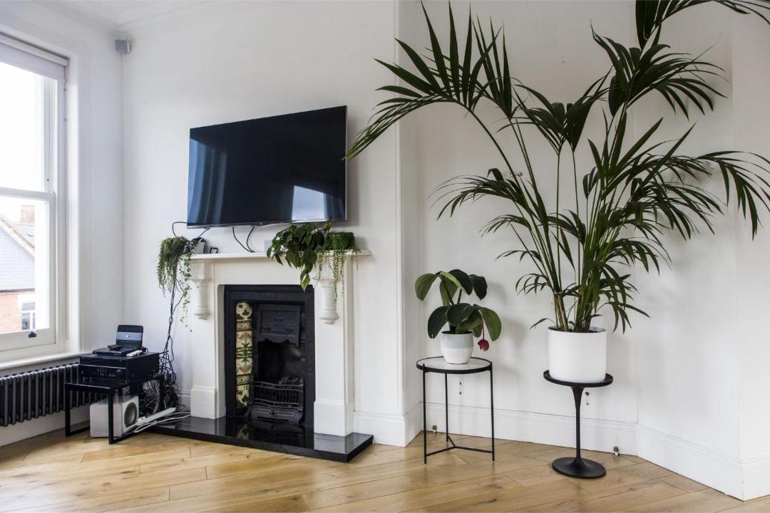 Photo of Livingroom in Hampstead