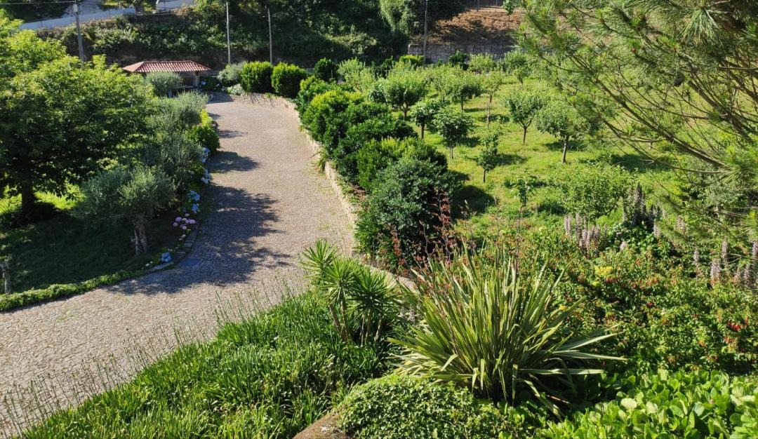 Photo of Outdoor in Guimaraes