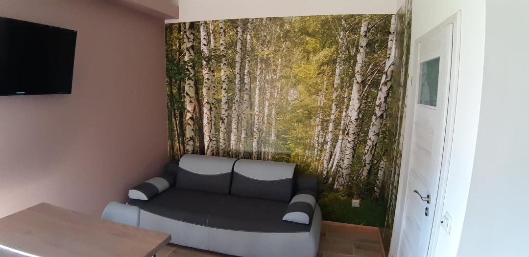 Photo of Livingroom in Andrychow