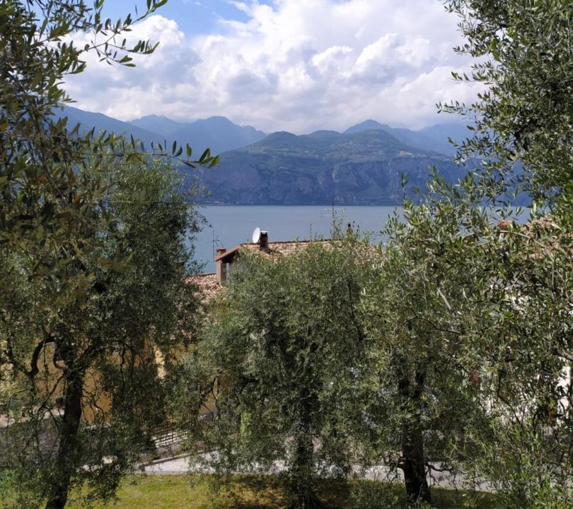 Photo of Others in Cassone