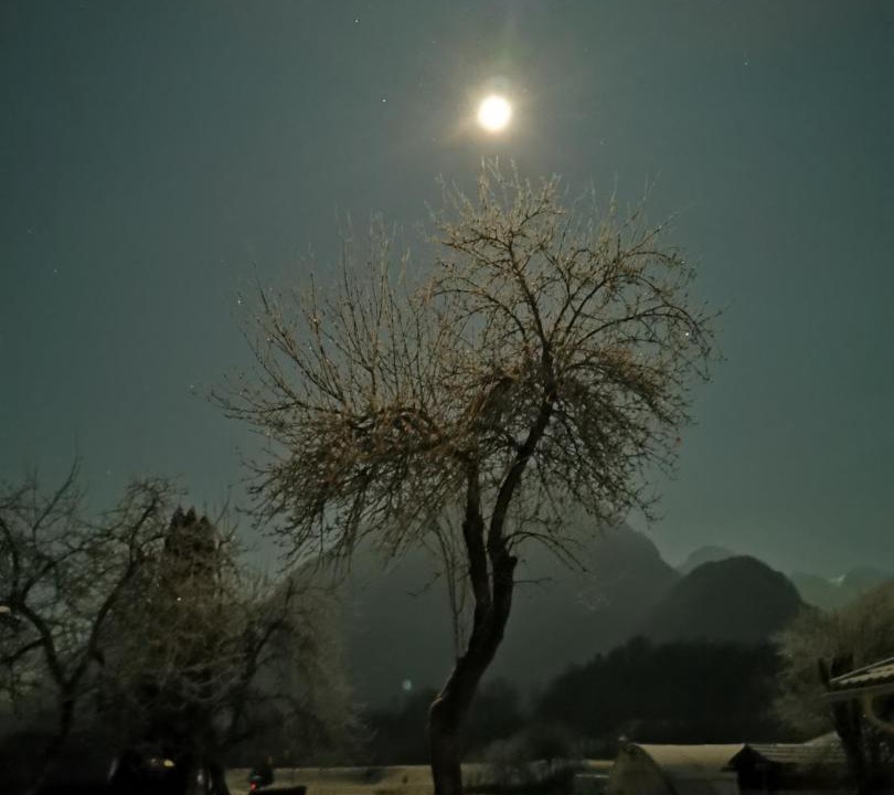 Photo of Outdoor in Cezsoca