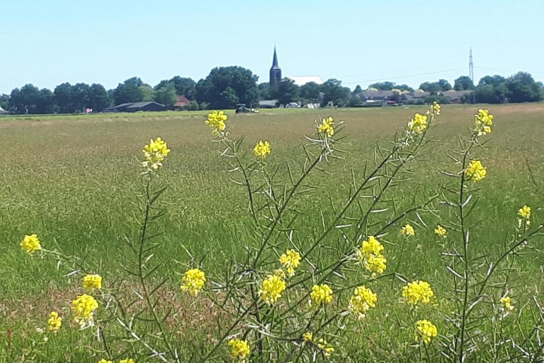 Photo of Others in Lierderholthuis