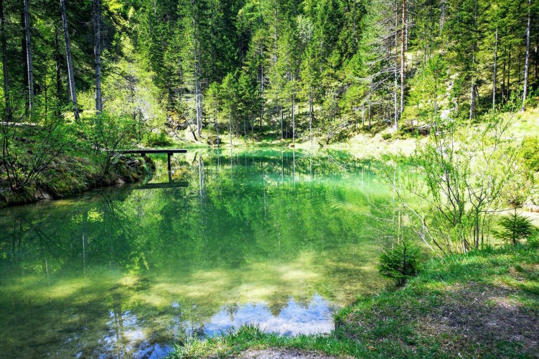 Photo of Others in Mojstrana