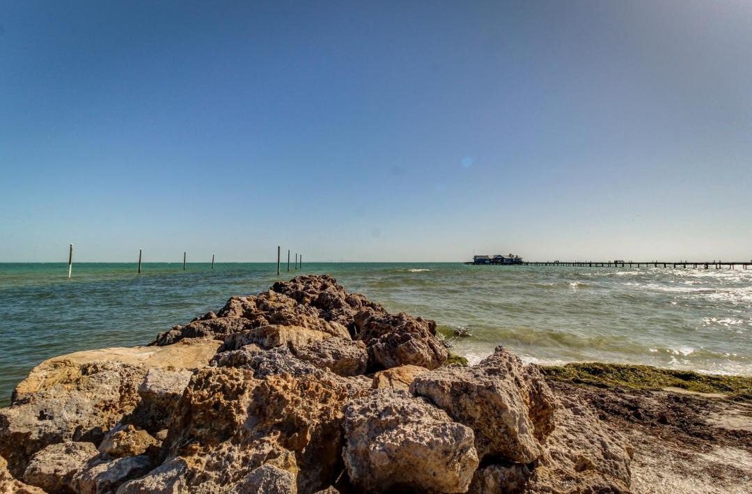 Photo of Others in Anna Maria