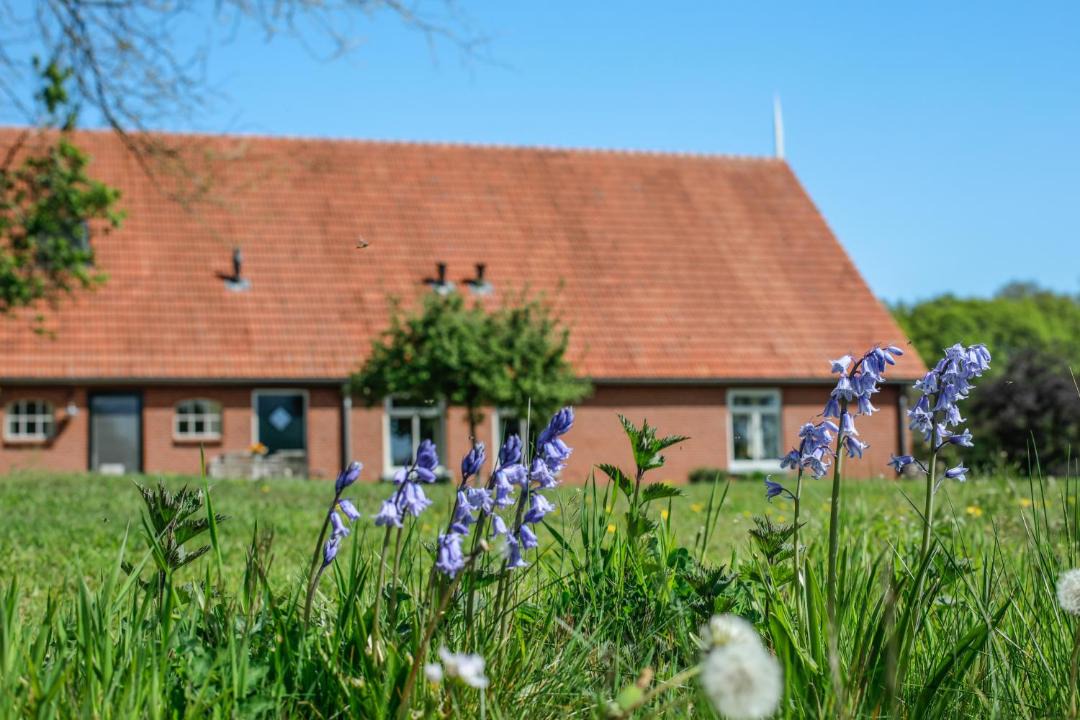 Photo of Others in Ambt Delden