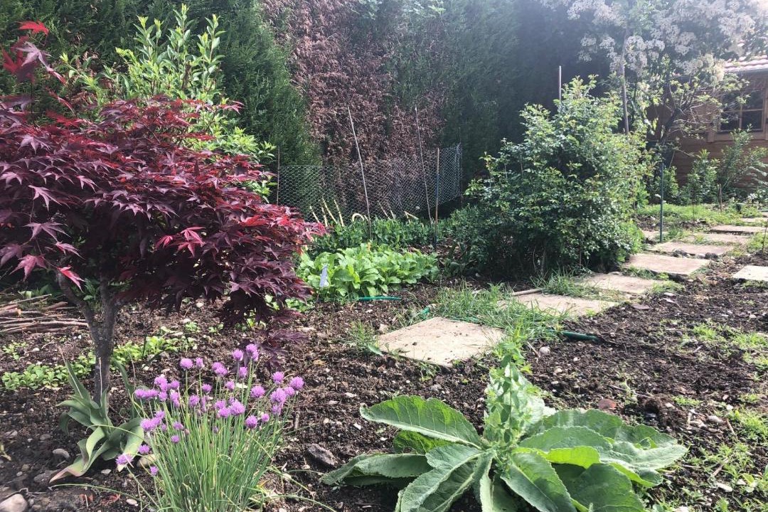 Photo of Outdoor in Audincourt