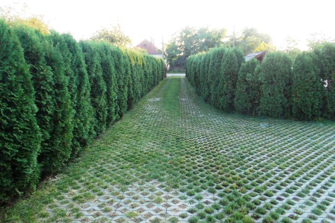 Photo of Outdoor in Nagyvazsony