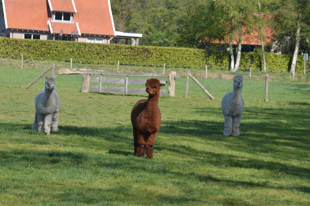 Photo of Others in Deurningen