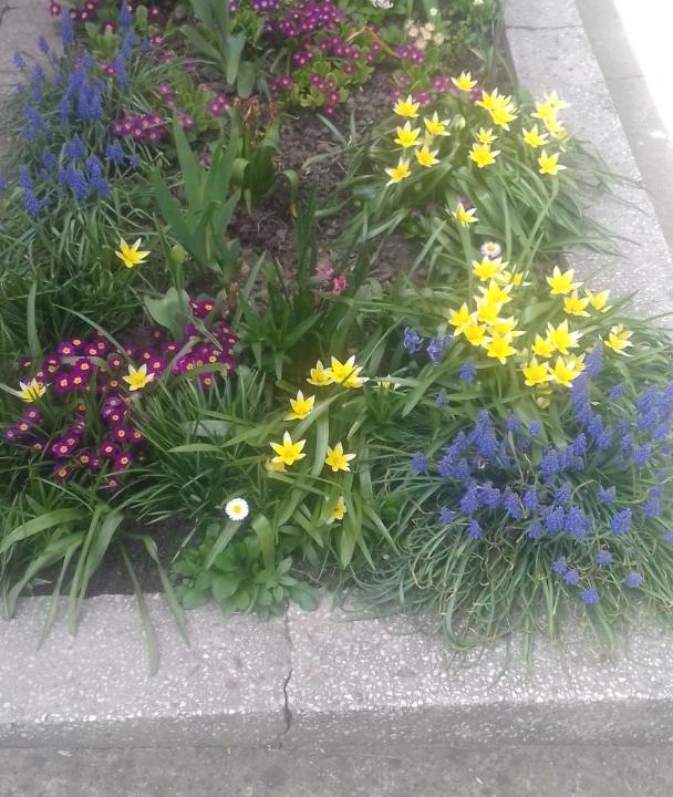 Photo of Outdoor in Voineasa