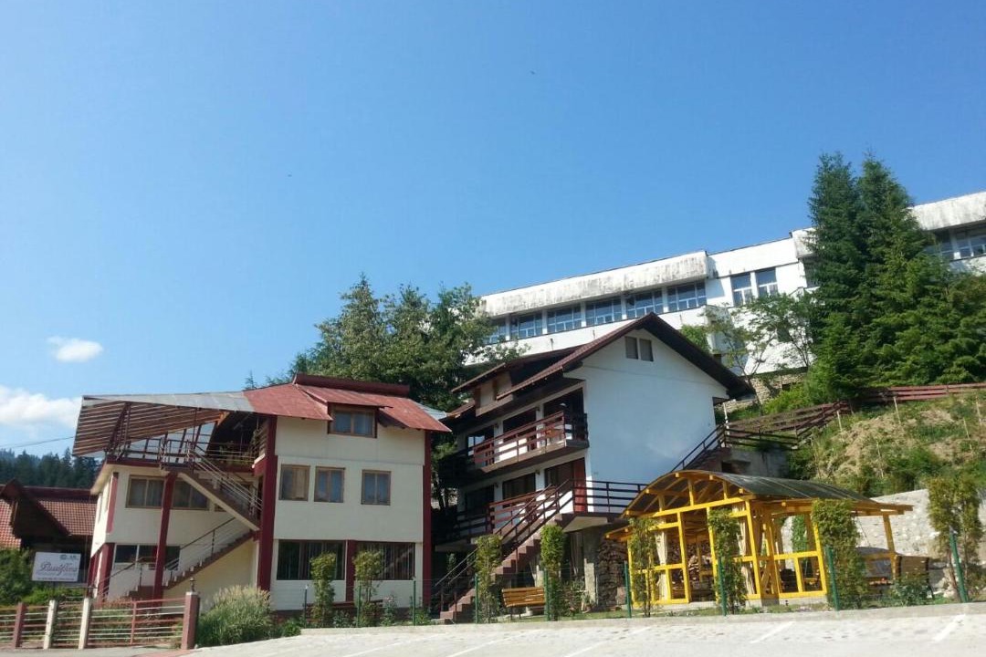 Photo of Buildings in Voineasa