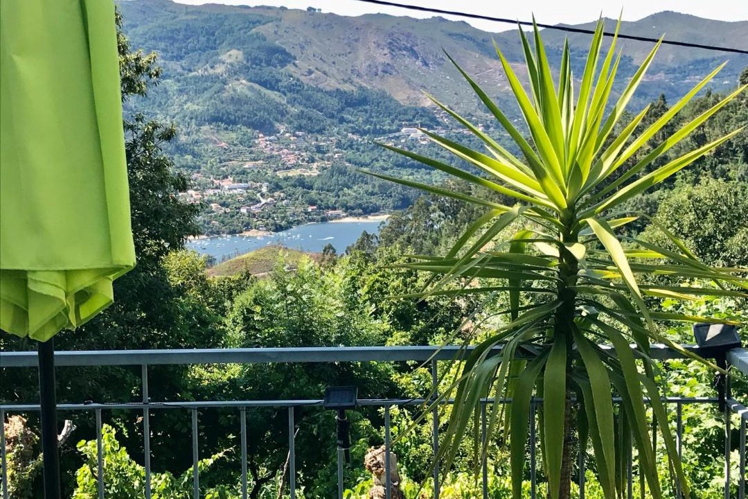 Photo of Others in Cova
