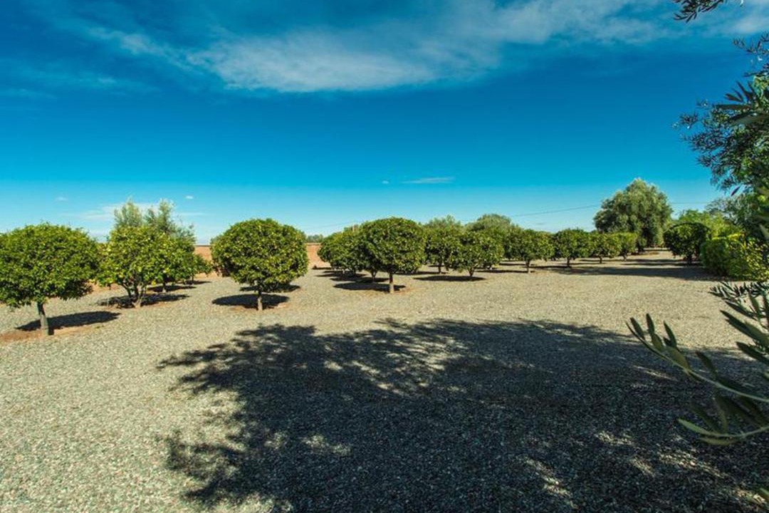 Photo of Outdoor in Tameslouht