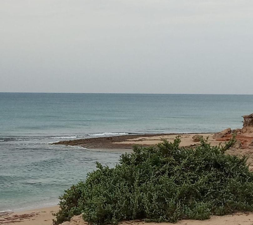 Photo of Outdoor in Manduria