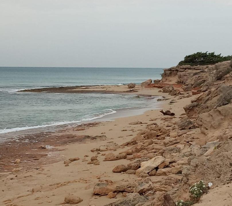 Photo of Outdoor in Manduria