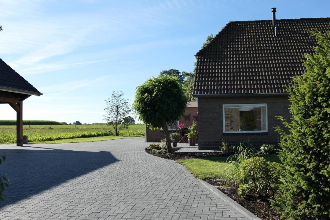 Photo of Others in Daarle