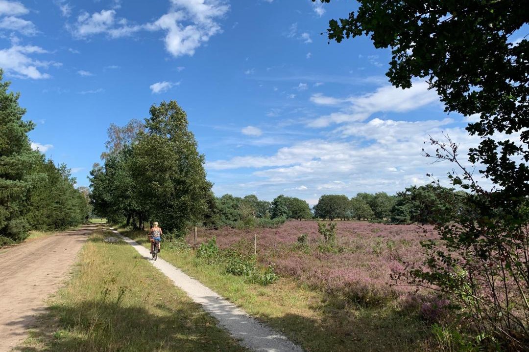 Photo of Others in Buinerveen