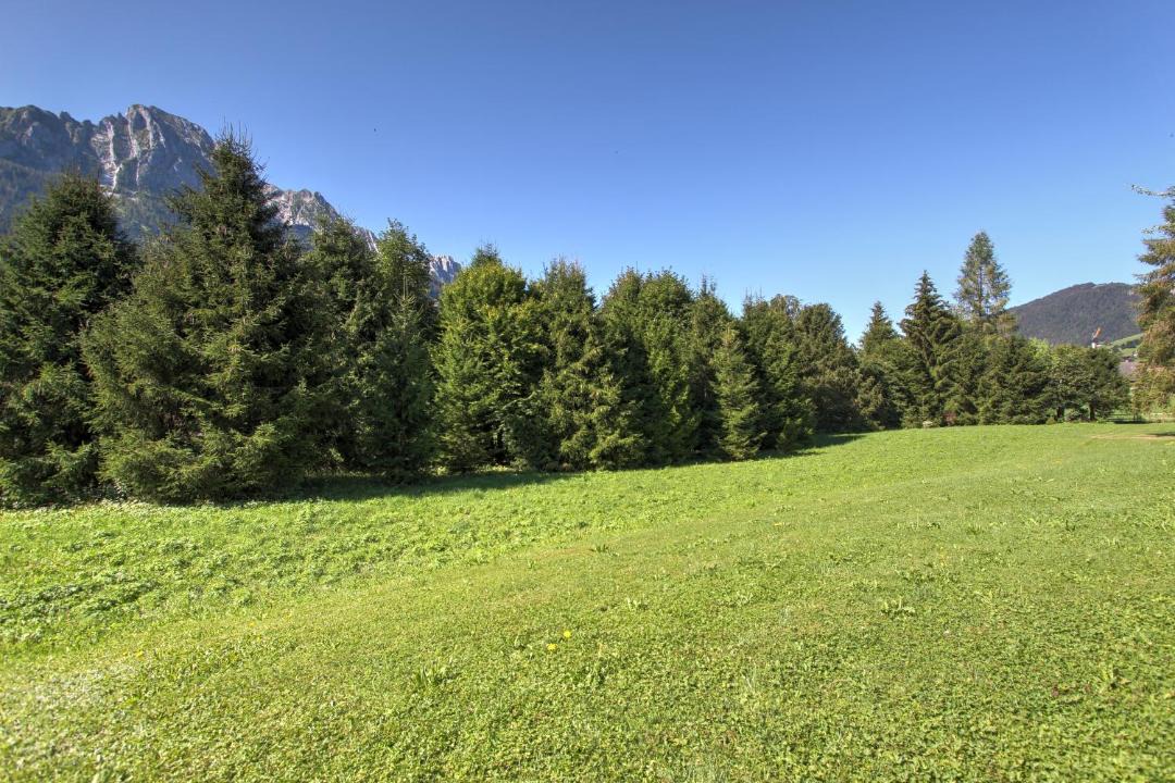 Photo of Others in Rougemont