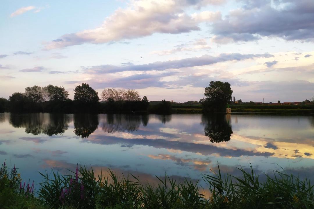 Photo of Others in Saint-Jean-de-Losne