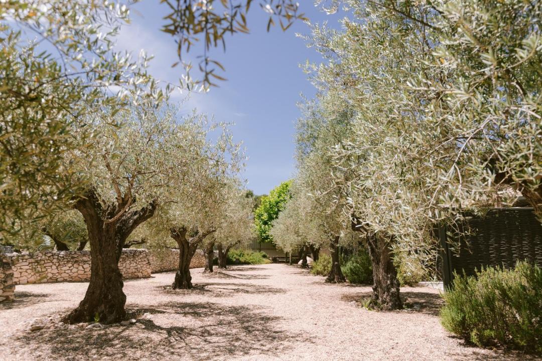 Photo of Outdoor in Eygalieres