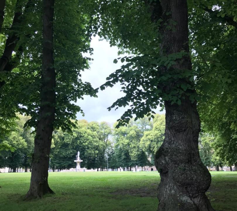 Photo of Others in Bayeux