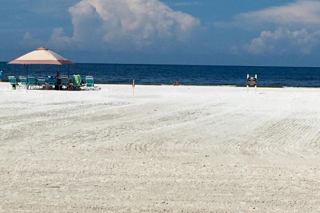 Photo of Outdoor in Siesta Key