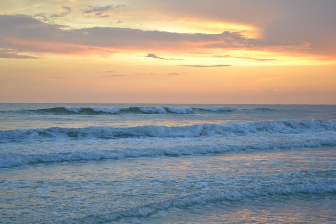 Photo of Outdoor in Siesta Key