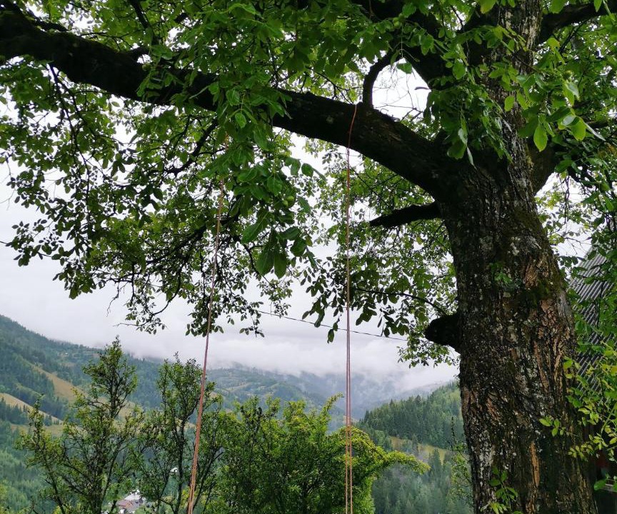 Photo of Others in Horea