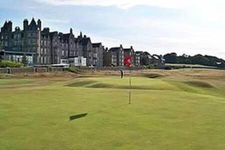 Photo of Others in North Berwick