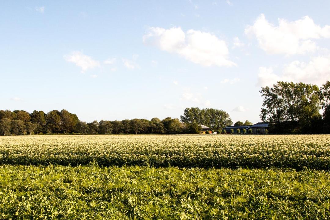 Photo of Outdoor in Wolphaartsdijk