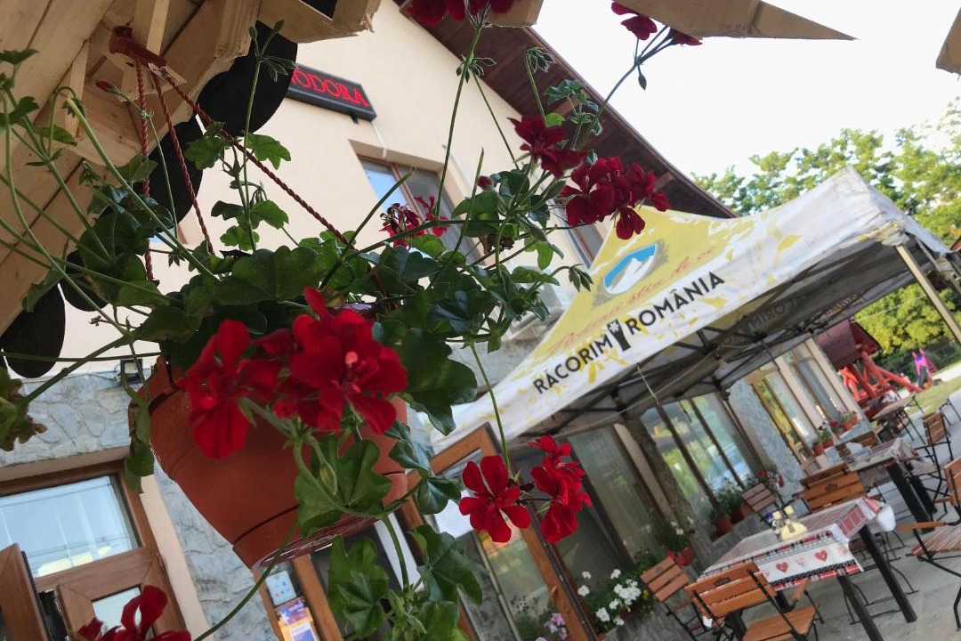 Photo of Patio Balcony in Polovragi
