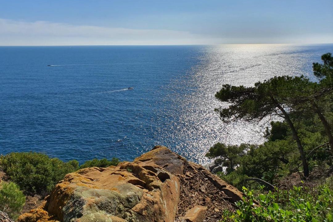 Photo of Outdoor in Palamos
