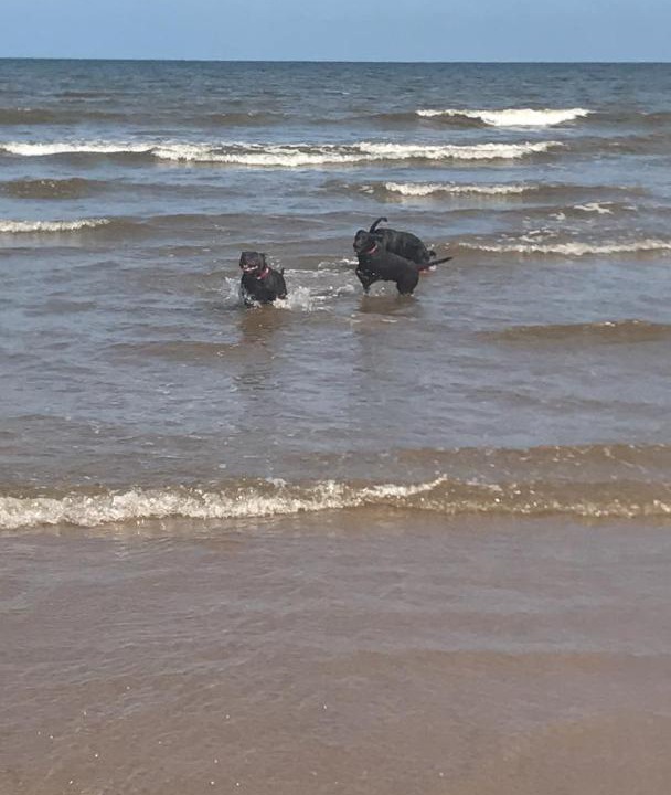 Photo of Outdoor in Mablethorpe