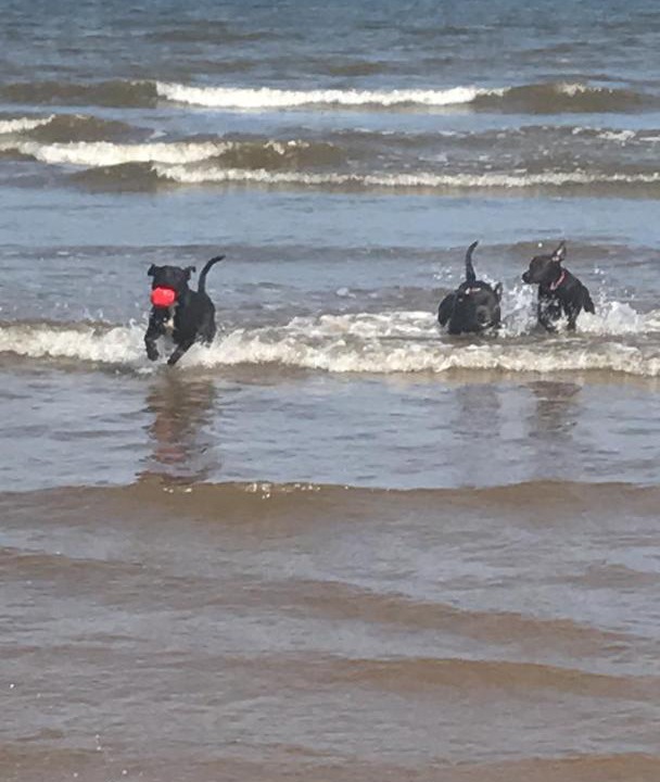 Photo of Outdoor in Mablethorpe