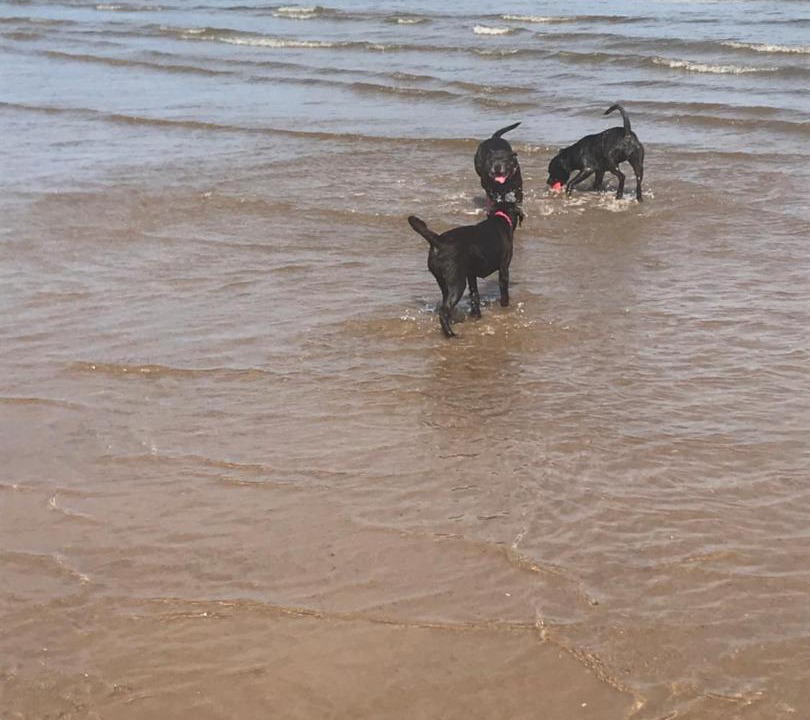 Photo of Outdoor in Mablethorpe